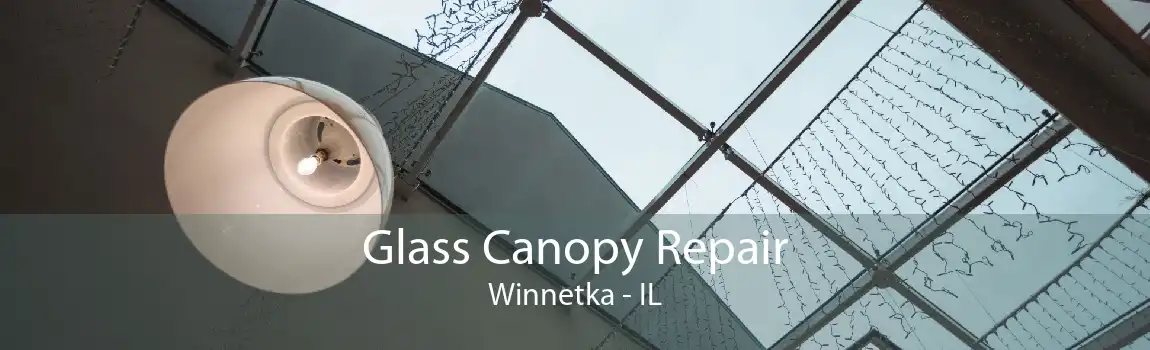 Glass Canopy Repair Winnetka - IL